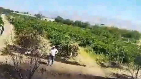 Elazığ'da samanlık ve arazi yangını: 60 dönüm arazi kül oldu