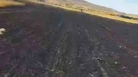 Elazığ'da samanlık ve arazi yangını: 60 dönüm arazi kül oldu