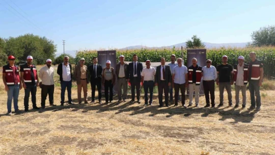 Elazığ'da silajlık mısır hasat etkinliği düzenlendi