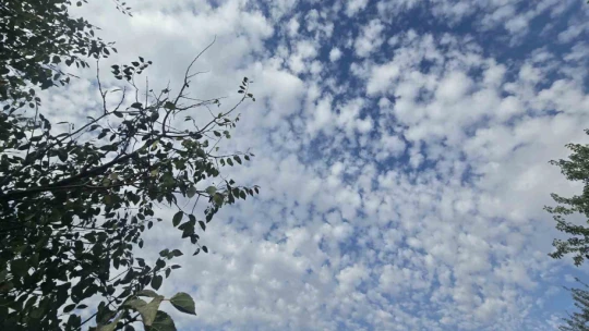 Elazığ'da sirrokümülüs bulutları görsel şölen sundu