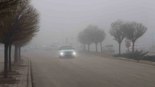Elazığ'da sis hayatı olumsuz etkiledi