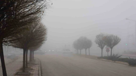 Elazığ'da sis hayatı olumsuz etkiledi