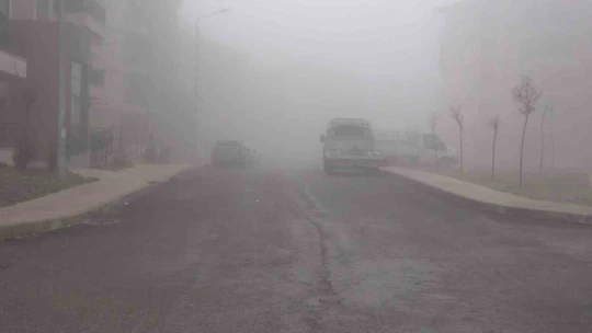 Elazığ'da sis hayatı olumsuz etkilemeyi sürdürüyor