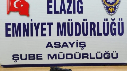 Elazığ'da şok asayiş uygulaması: 2 bin 666 kişi sorgulandı