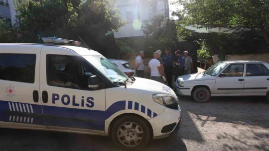 Elazığ'da sokak köpekleri dehşeti: Koyun ve tavukları telef ettiler, 3 koyunu yaraladılar