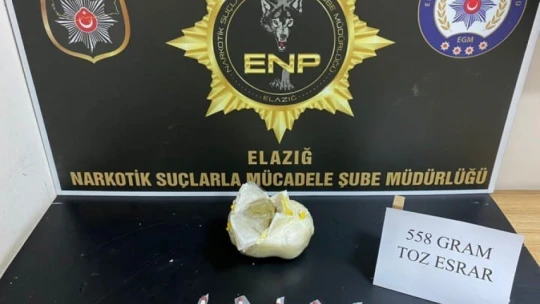 Elazığ'da sokak satıcılarına operasyon: 2 gözaltı