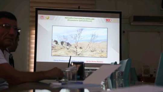 Elazığ'da son 6 ayda orman yangınları önceki yıla göre 11 kat arttı: Sebebinin yüzde 97'si insan