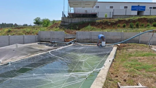 Elazığ'da Su Ürünleri Ar-Ge Merkezi'nde üretim çalışmaları sürüyor
