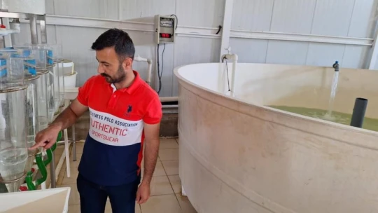 Elazığ'da Su Ürünleri Ar-Ge Merkezi'nde üretim çalışmaları sürüyor