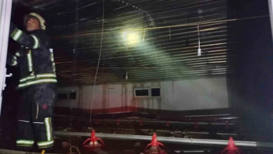 Elazığ'da tavuk çiftliğinde yangın: Yüzlerce tavuk telef oldu