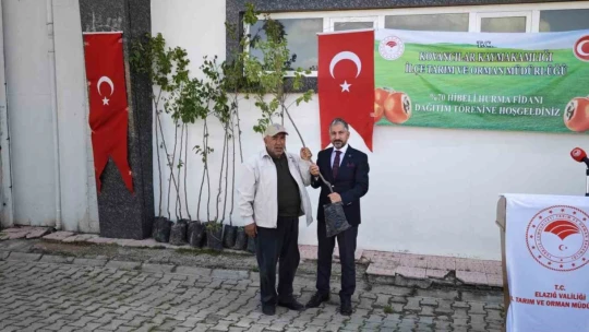Elazığ'da Trabzon hurması fidan dağıtımı gerçekleşti