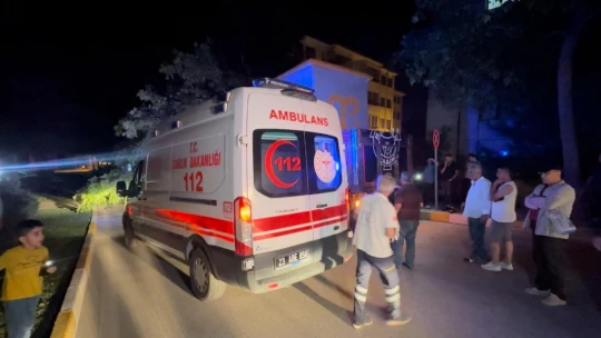 Elazığ'da trafo kulübesi yüklü tır ağacı devirdi: 1 yaralı