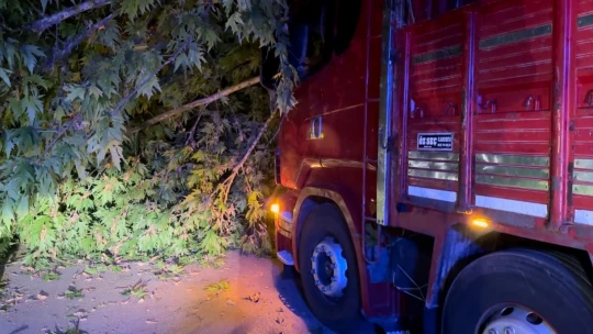 Elazığ'da trafo kulübesi yüklü tır ağacı devirdi: 1 yaralı