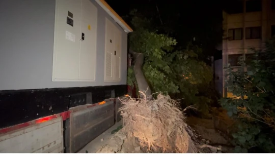 Elazığ'da trafo kulübesi yüklü tır ağacı devirdi: 1 yaralı