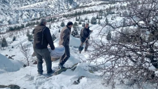 Elazığ'da yaban hayvanları için doğaya yem bırakıldı