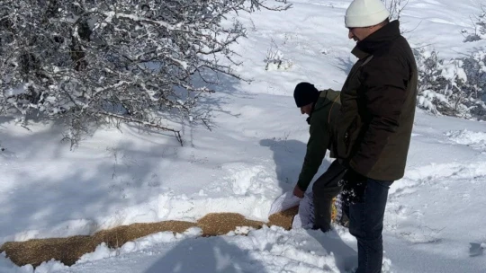 Elazığ'da yaban hayvanları unutulmadı: Doğaya 300 kilo yem bırakıldı