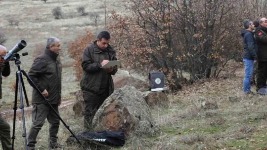 Elazığ'da yaban keçisi envanter çalışması yapıldı