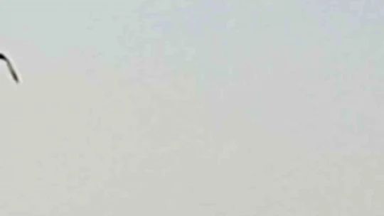 Elazığ'da yamaç paraşütü yapan şahıs, ani rüzgar nedeni ile sürüklenerek göle düştü