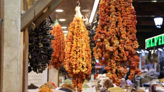 Elazığ'da yeni mahsul kurutmalıklar tezgahlarda yerini aldı