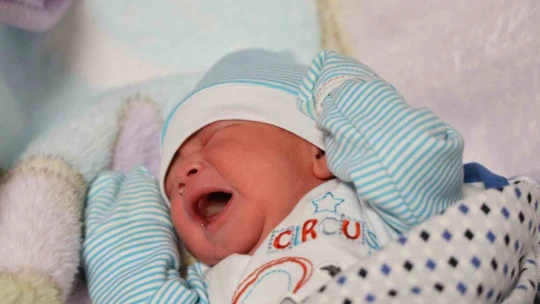 Elazığ'da yeni yılda 3 erkek bebek dünyaya geldi