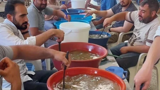 Elazığ'da yılın ilk sazan balığı yumurta sağımı gerçekleştirildi