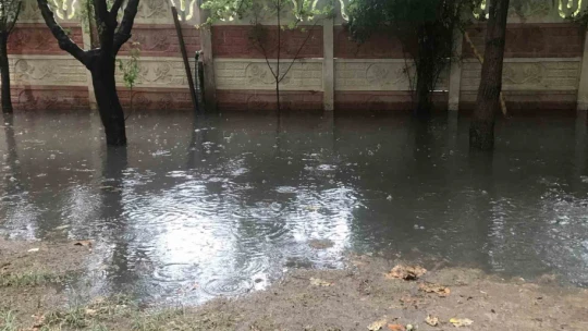 Elazığ'da yollar göle döndü, bahçe ve ahırları su bastı