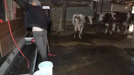 Elazığ'da yollar göle döndü, bahçe ve ahırları su bastı