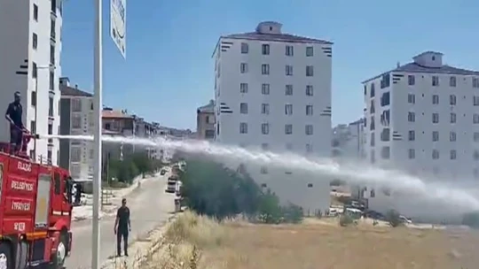 Elazığ'daki ot yangını söndürüldü