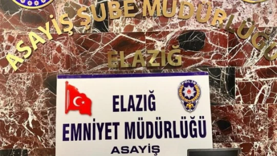 Elazığ merkezli 6 ilde örgütlü olarak nitelikli dolandırıcılık operasyonu: 29 gözaltı