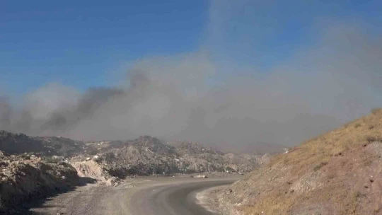 Elazığ OSB'de yakılan katı atıklar vatandaşların tepkisini çekiyor