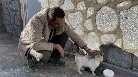 Engelli kedinin bakımı için 60 kilometre yol gidiyor
