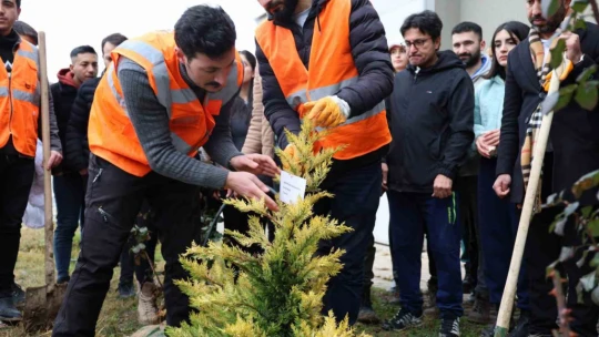 Fidanlar şehitler anısına dikildi