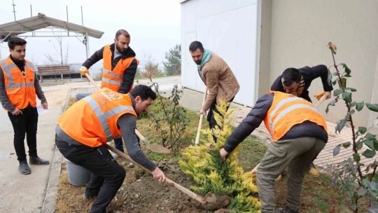 Fidanlar şehitler anısına dikildi