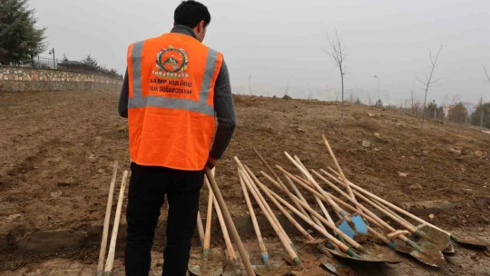 Fidanlar şehitler anısına dikildi