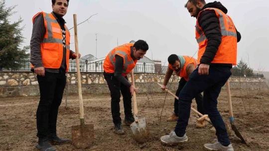 Fidanlar şehitler anısına dikildi