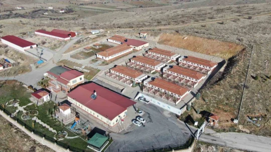 Geçici Hayvan Bakımevi ve Rehabilitasyon Merkezi'nde bir yılda 11 bin hayvan tedavi edildi