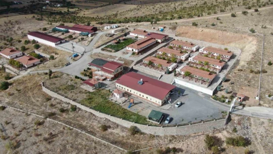 Geçici Hayvan Bakımevi ve Rehabilitasyon Merkezi'nde 9 bin hayvan tedavi edildi