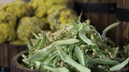 Geçmeyen girip  ve nezle için vatandaşlar aktarcılara akın etti