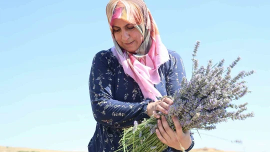 Gelin-görümce sırt sırta verdi, lavanta bahçesi kurdu