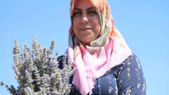 Gelin-görümce sırt sırta verdi, lavanta bahçesi kurdu