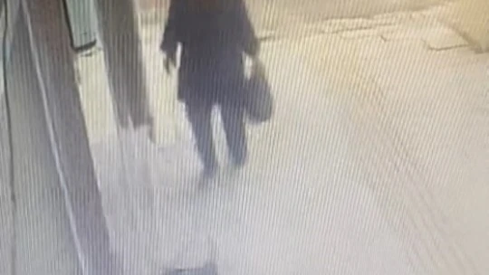 Gözüne kestirdiği çiçeği saksısıyla birlikte saniyeler içerisinde götürdü