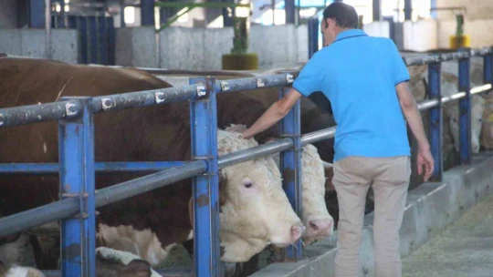 Günlük 40 ton süt toplanan merkez, bin 200 aileye ekmek kapısı oldu