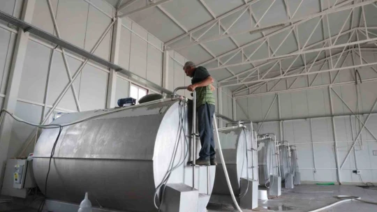 Günlük 40 ton süt toplanan merkez, bin 200 aileye ekmek kapısı oldu