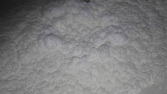 Günlük 40 ton süt toplanan merkez, bin 200 aileye ekmek kapısı oldu