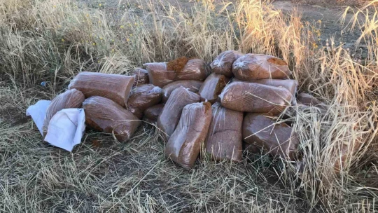 Hafif ticari araca tren çaptı: Yaralı sürücü canının yerine taşıdığı kaçak tütünü saklamanın derdine düştü