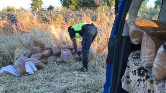 Hafif ticari araca tren çaptı: Yaralı sürücü canının yerine taşıdığı kaçak tütünü saklamanın derdine düştü