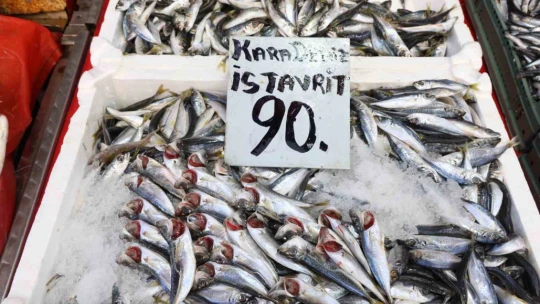 Havalar soğudu, balığa olan rağbet arttı