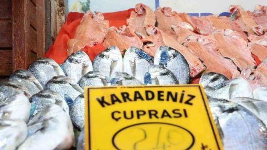 Havalar soğudu, balığa olan rağbet arttı