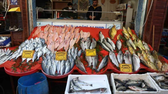 Havalar soğudu, balığa olan rağbet arttı