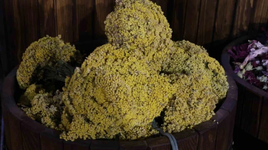 Havaların soğumasıyla birlikte ıhlamura talep arttı